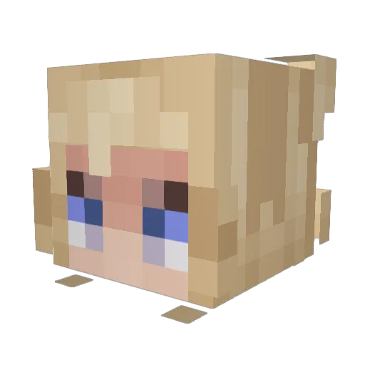 twhq Minecraft avatar head, 3D render