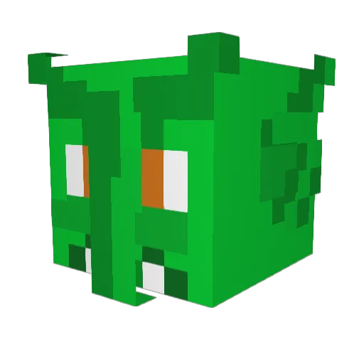 twigsnapper45 Minecraft avatar head, 3D render