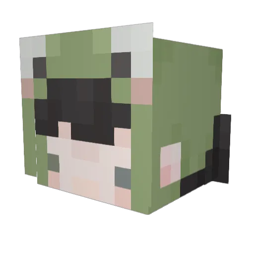 twiinstars Minecraft avatar head, 3D render