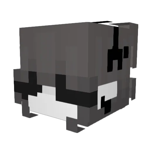 twili1aes Minecraft avatar head, 3D render
