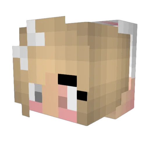 twilight062 Minecraft avatar head, 3D render