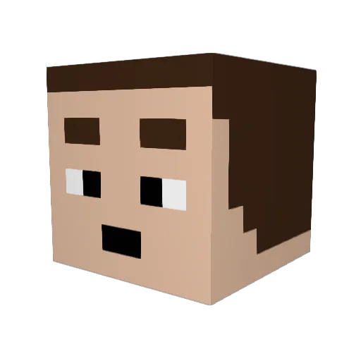 twilightlover229 Minecraft avatar head, 3D render