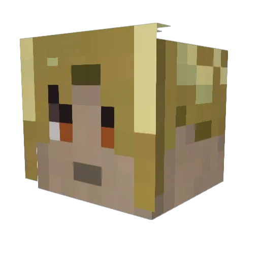 twilightman7 Minecraft avatar head, 3D render