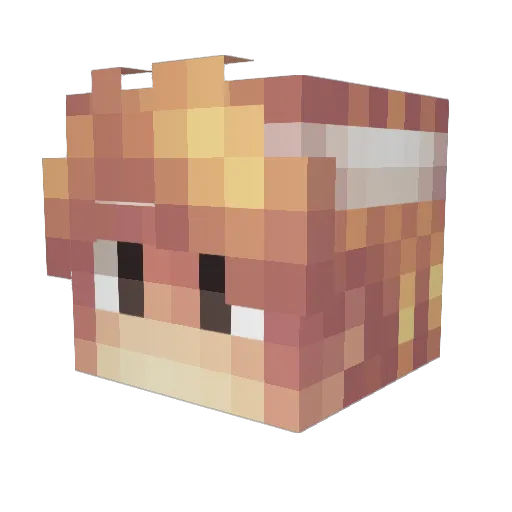 twilsMEOW Minecraft avatar head, 3D render