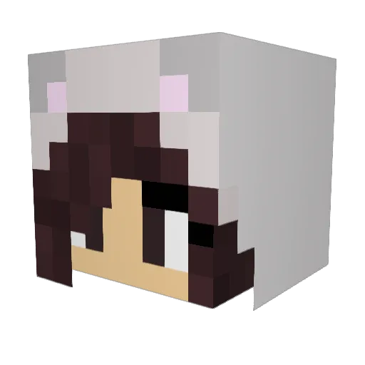 twinboys2003 Minecraft avatar head, 3D render