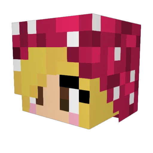 twinibop Minecraft avatar head, 3D render