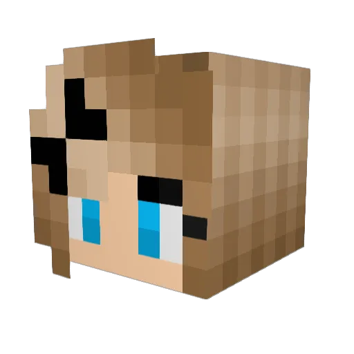 twinkabells123 Minecraft avatar head, 3D render