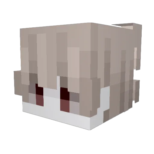 twinkiejordy Minecraft avatar head, 3D render