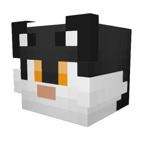 twinklepassion Minecraft avatar head, 3D render