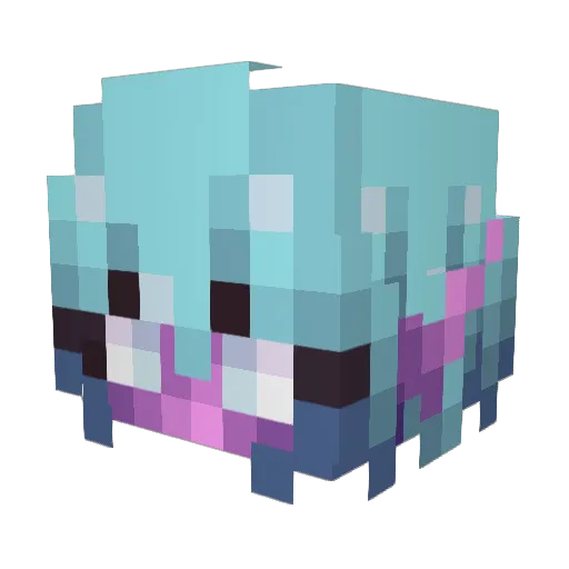 twinklesc Minecraft avatar head, 3D render