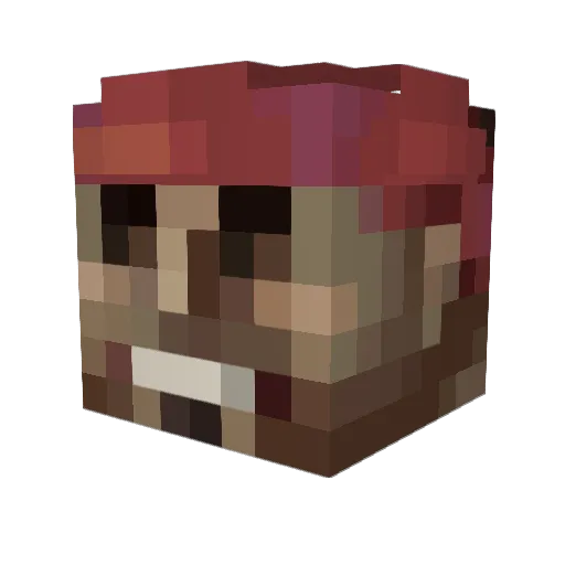 twinkletoez69 Minecraft avatar head, 3D render