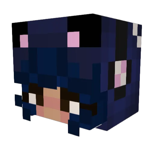 twinkytuff Minecraft avatar head, 3D render
