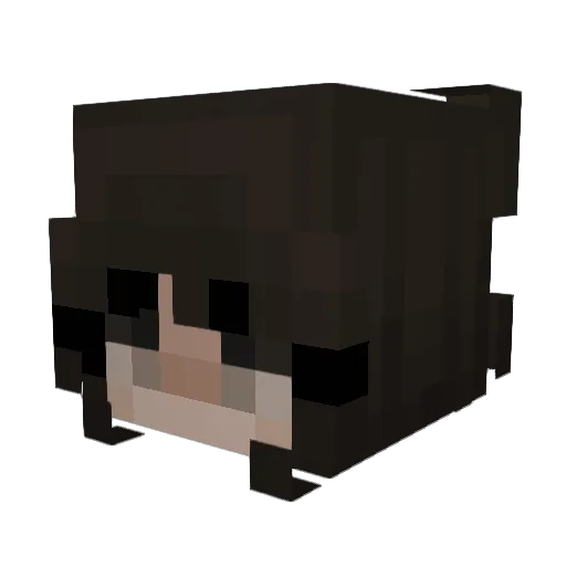 twinspur Minecraft avatar head, 3D render