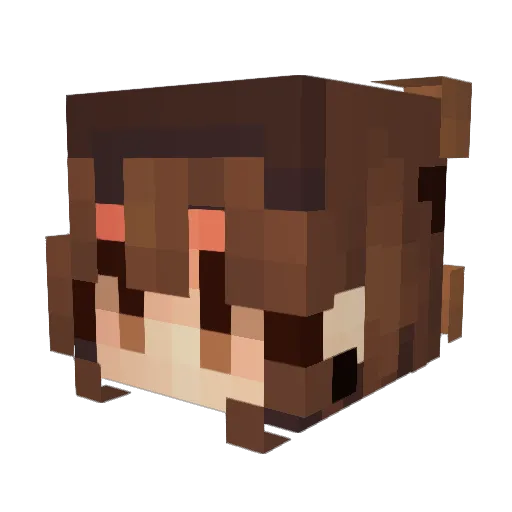 twintastic229 Minecraft avatar head, 3D render