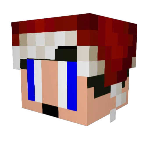 twinwall Minecraft avatar head, 3D render