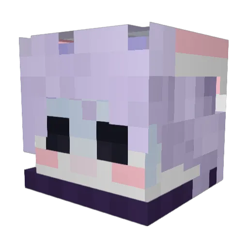 twirl258 Minecraft avatar head, 3D render