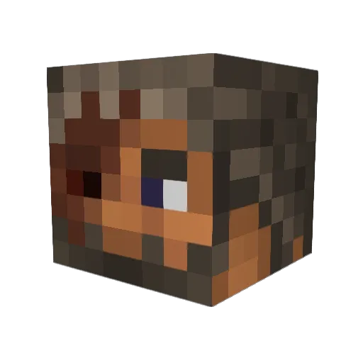 twistedpoptart Minecraft avatar head, 3D render