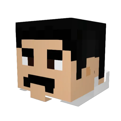 twisterx3 Minecraft avatar head, 3D render