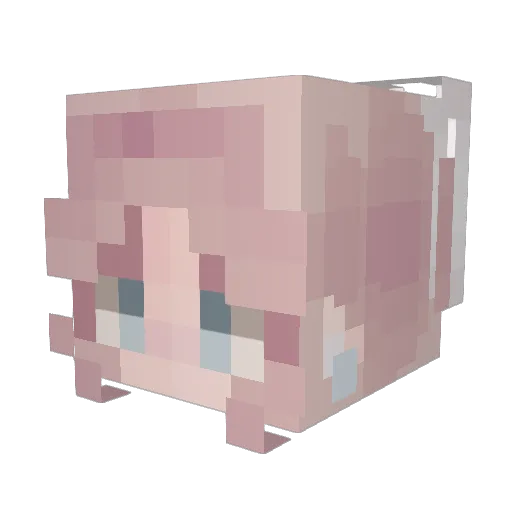 twitch101chug Minecraft avatar head, 3D render