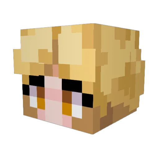 twity_123 Minecraft avatar head, 3D render