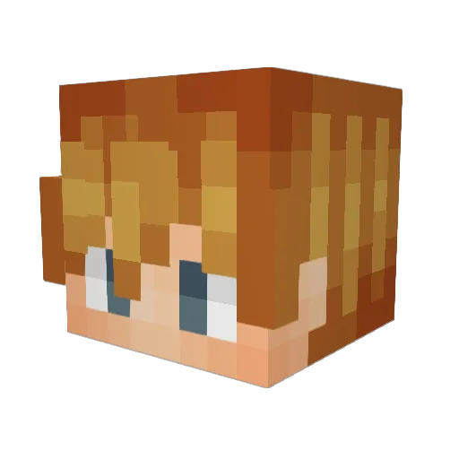 twixor Minecraft avatar head, 3D render