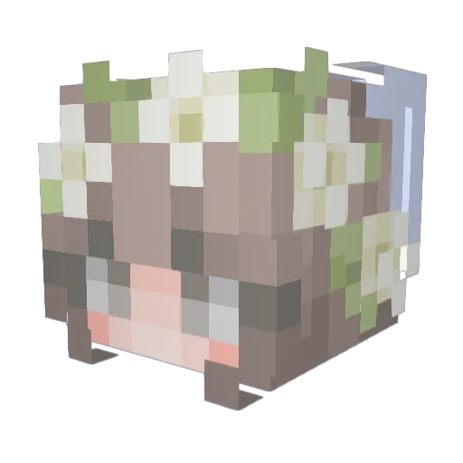 twliip Minecraft avatar head, 3D render