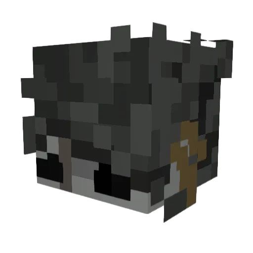 twobowlsofcereal Minecraft avatar head, 3D render
