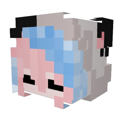 twocat222 Minecraft avatar head, 3D render