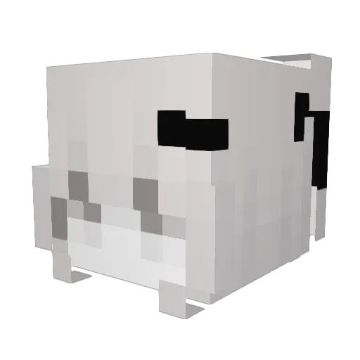 twoire Minecraft avatar head, 3D render