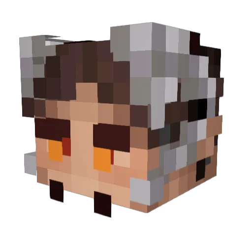 twojtesc Minecraft avatar head, 3D render
