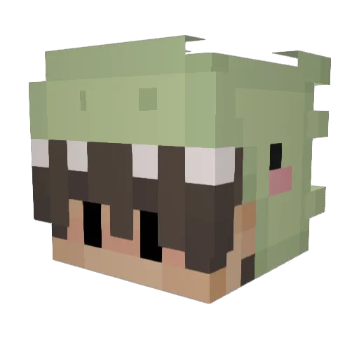 twoopyboi Minecraft avatar head, 3D render