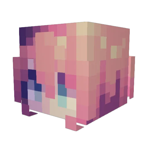 twopinkboots Minecraft avatar head, 3D render
