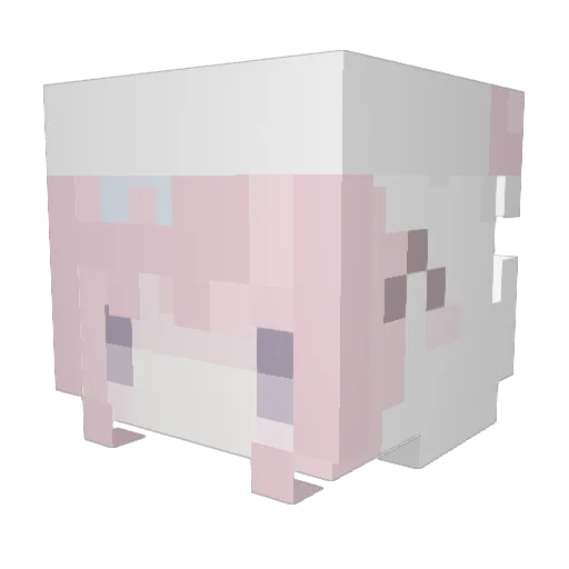 twoplushies Minecraft avatar head, 3D render
