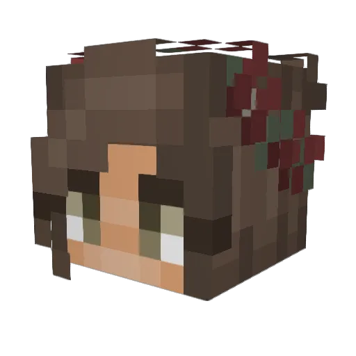 twopuppies Minecraft avatar head, 3D render