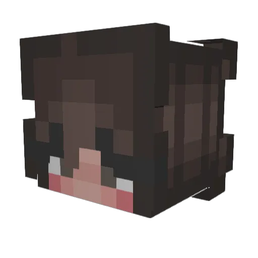 twosocks45 Minecraft avatar head, 3D render