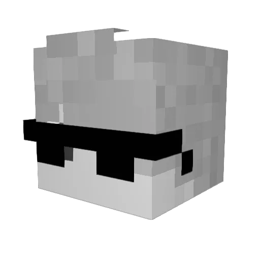 twovbrayden Minecraft avatar head, 3D render