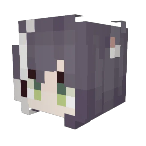 twppy Minecraft avatar head, 3D render