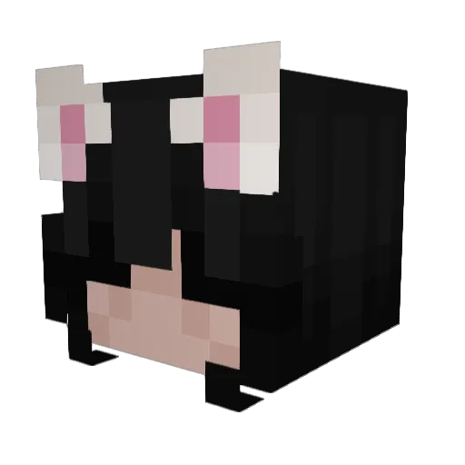 txat Minecraft avatar head, 3D render