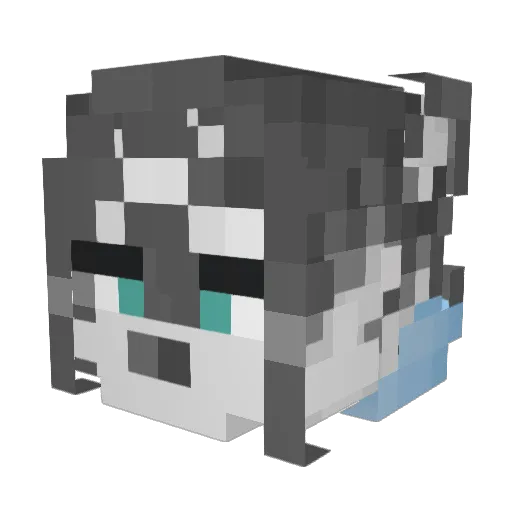 txchh Minecraft avatar head, 3D render