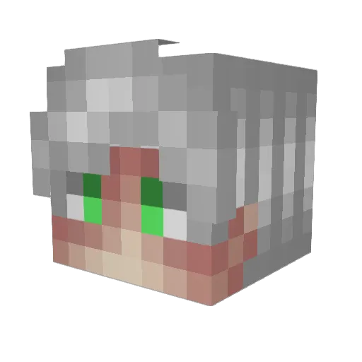 txgators Minecraft avatar head, 3D render