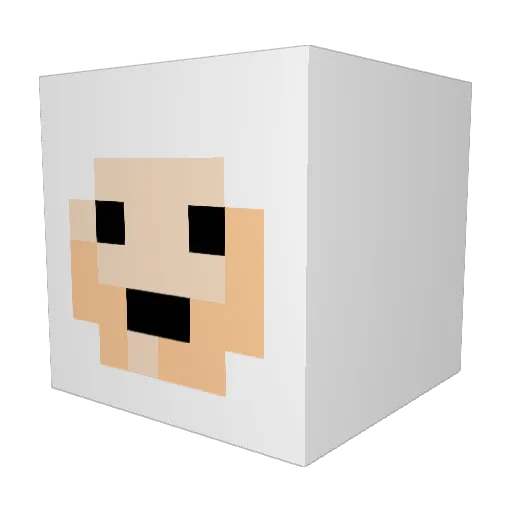 txjac3720 Minecraft avatar head, 3D render