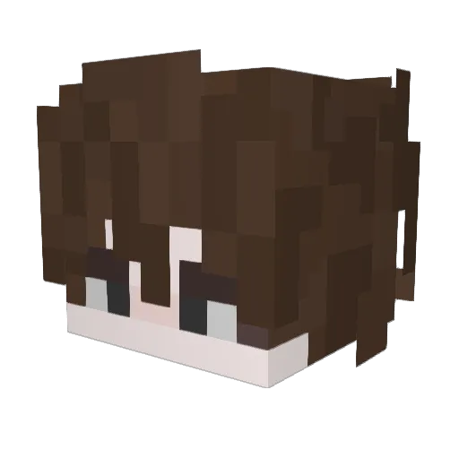 txlz_ Minecraft avatar head, 3D render