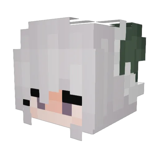 txn4 Minecraft avatar head, 3D render