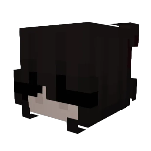txshe Minecraft avatar head, 3D render
