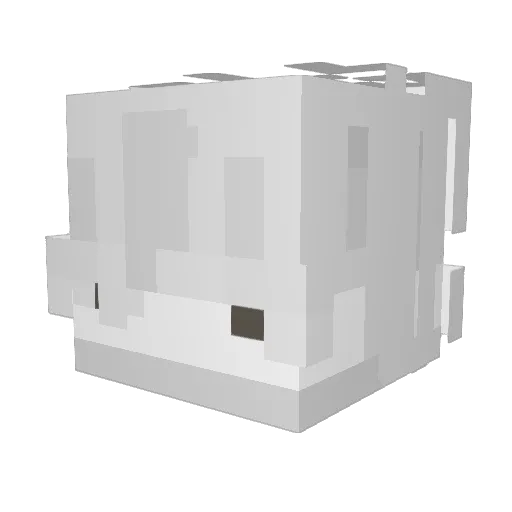 txwy_ Minecraft avatar head, 3D render