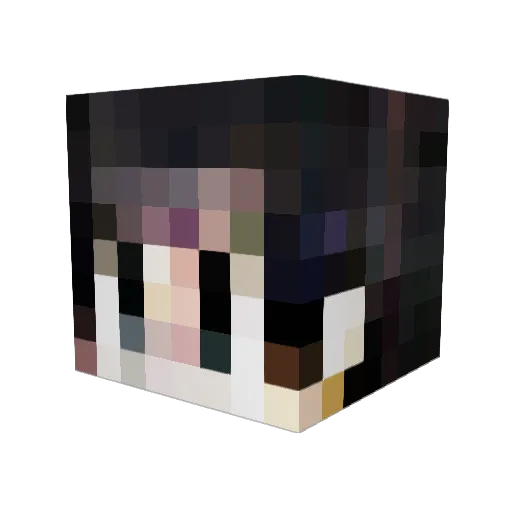 txwysb Minecraft avatar head, 3D render