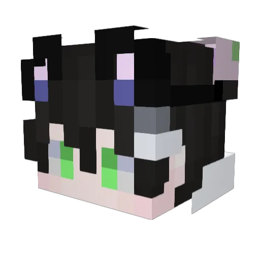 ty56y5 Minecraft avatar head, 3D render