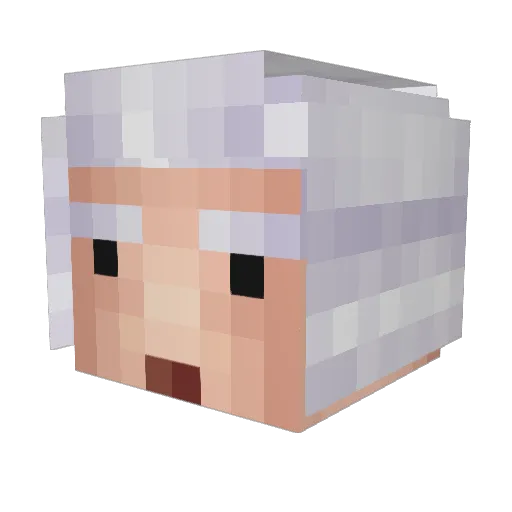 ty_cax Minecraft avatar head, 3D render