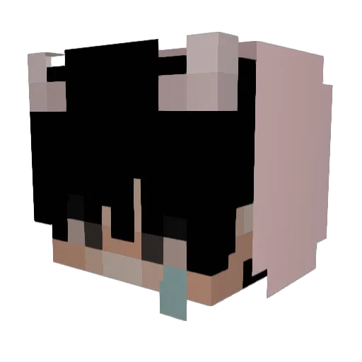 ty_lollo Minecraft avatar head, 3D render