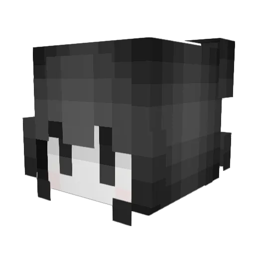 tyay Minecraft avatar head, 3D render